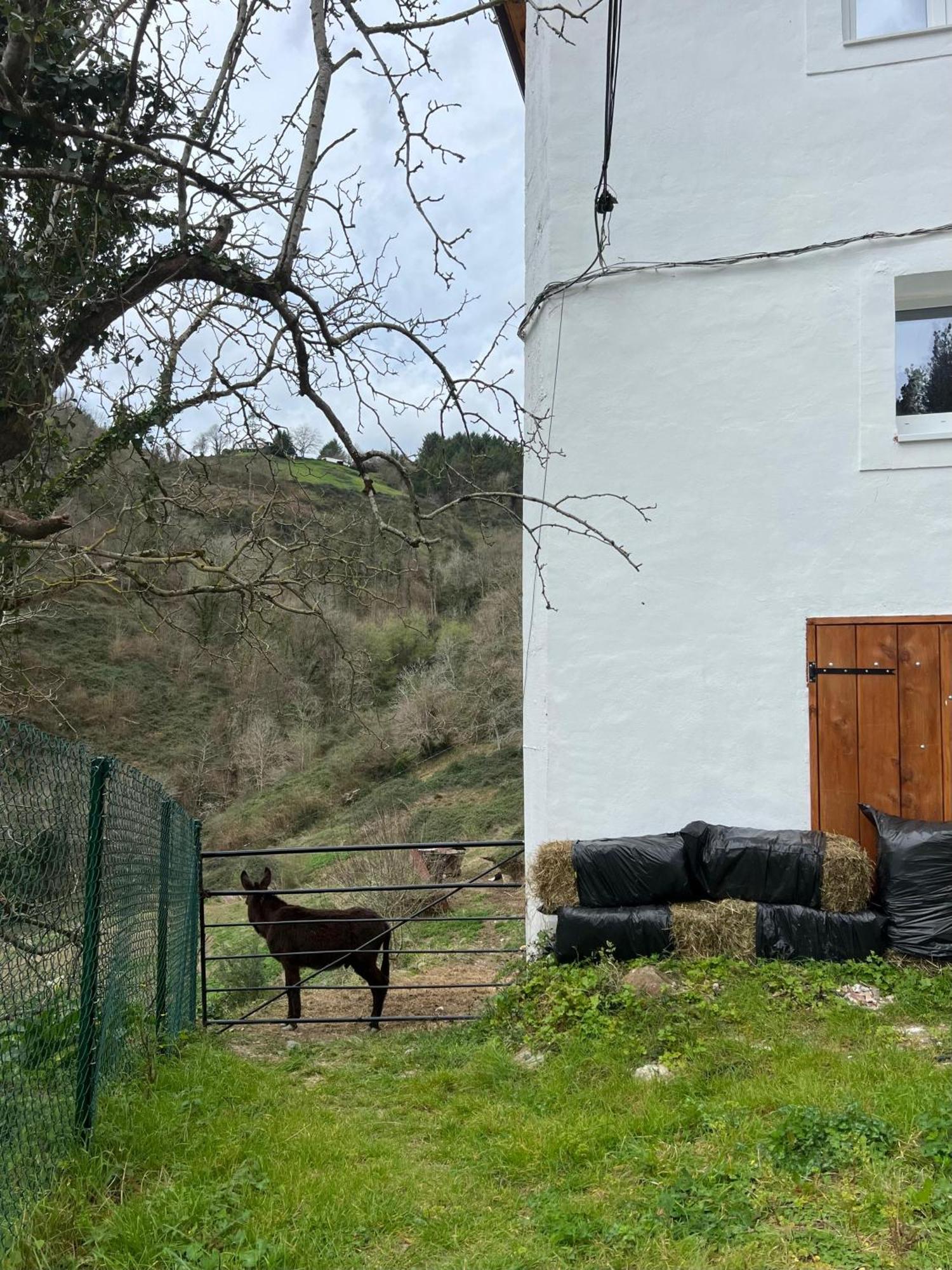 Fantastico Retiro Rural En El Corazon De Euskadi Apartment
